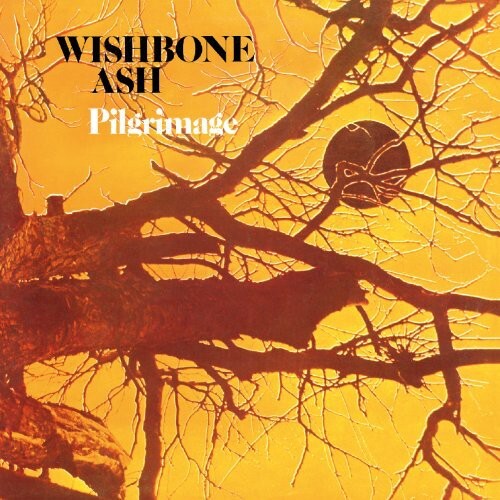 

CD диск Wishbone Ash: Pilgrimage