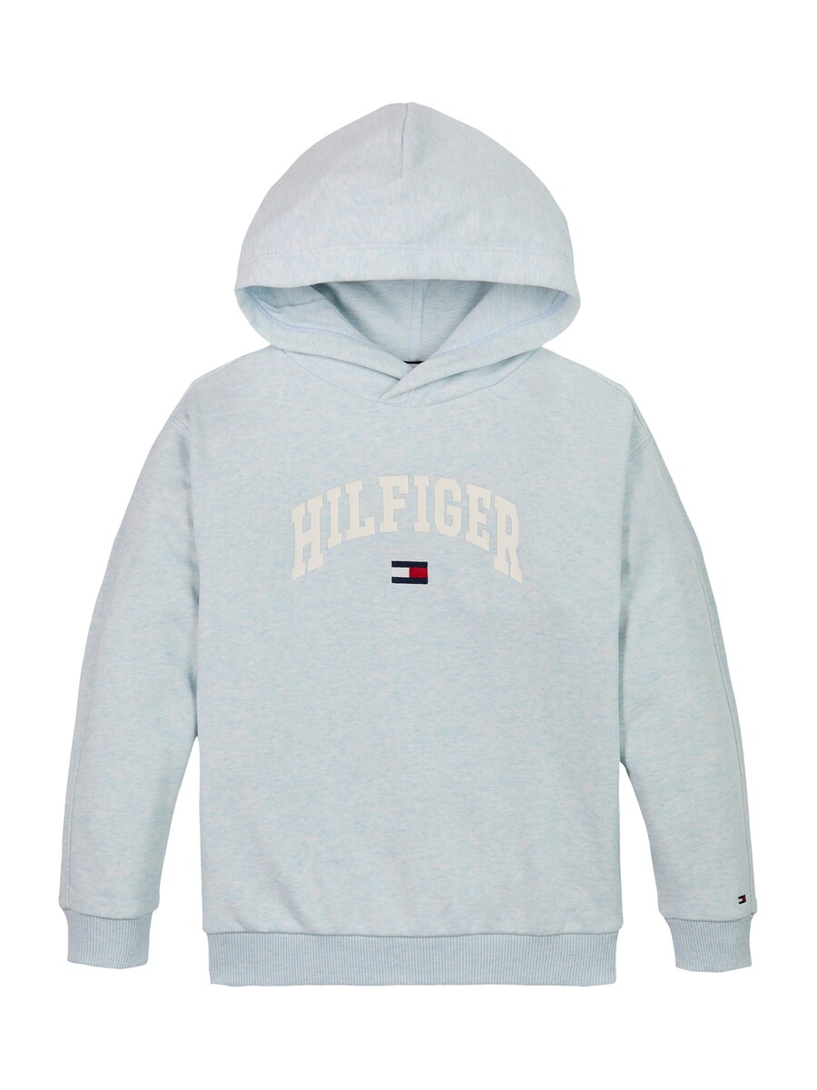 

Толстовка TOMMY HILFIGER, цвет Blue/Navy