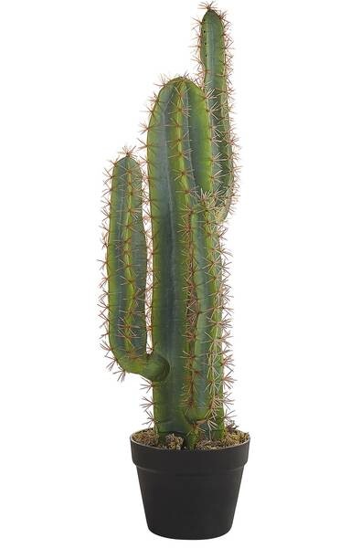 

Декоративное растение Beliani CACTUS, черный/зеленый