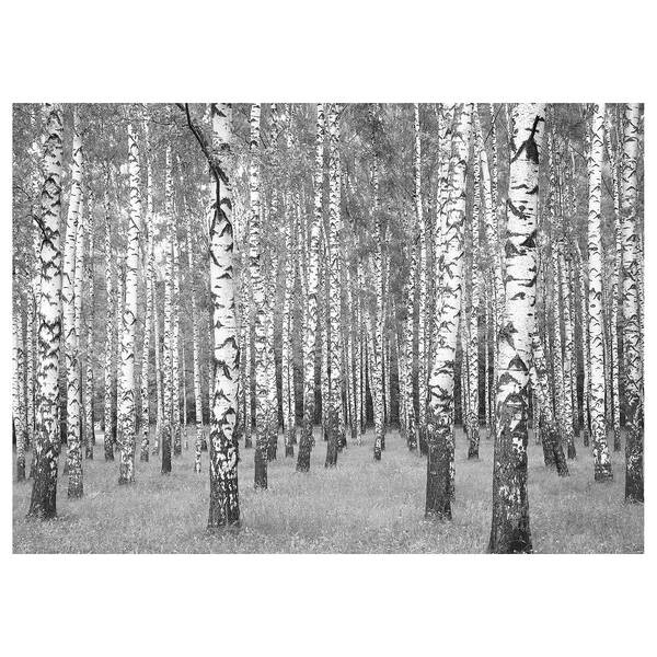 

Фреска A.S. Création Birch Forest цвет weiß/schwarz
