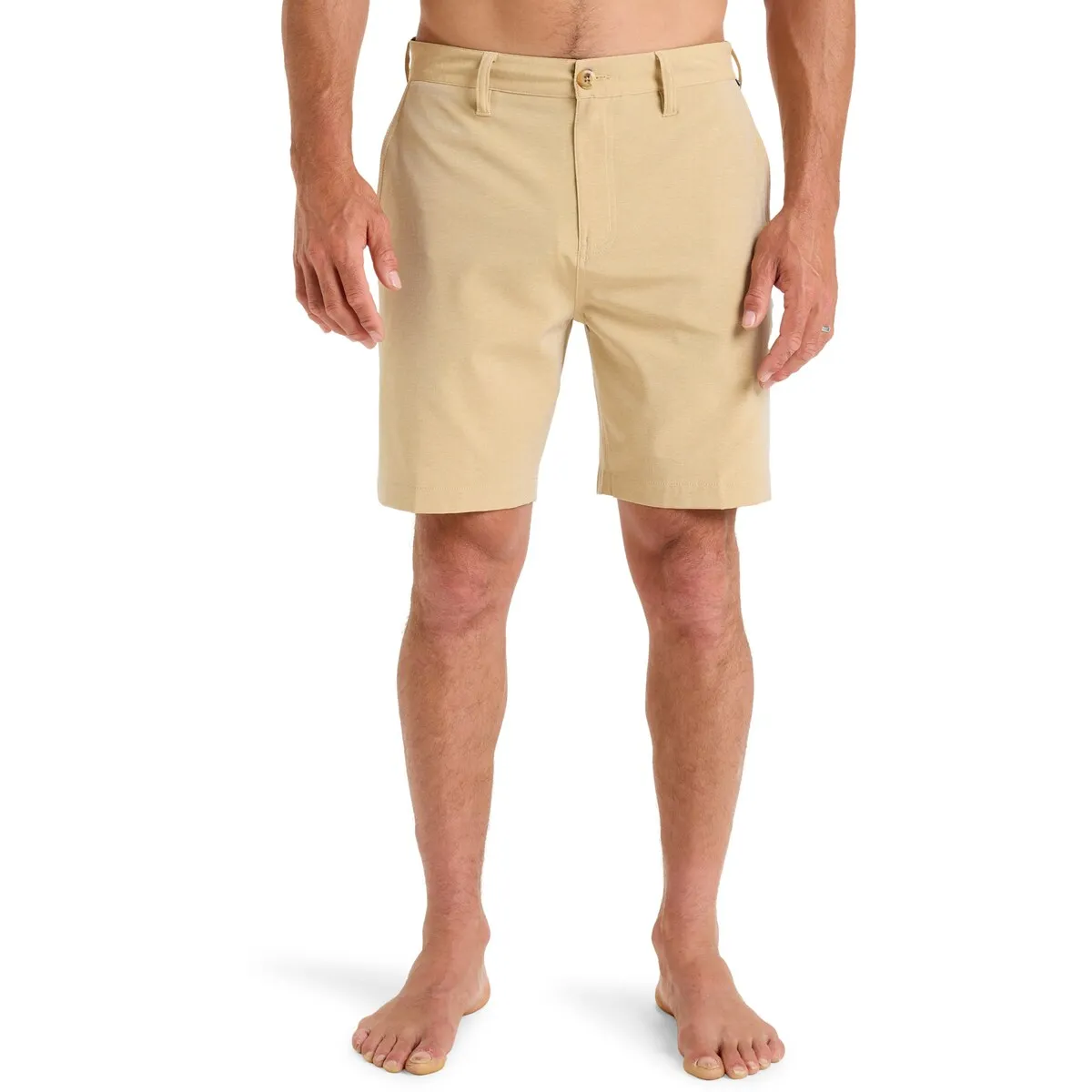 

Union Heather Amph 19" Quiksilver Мужские гибридные бермудские шорты, бежевый