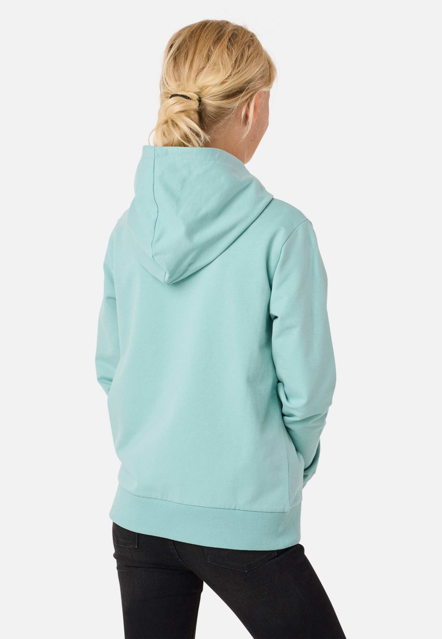 Худи Denim Factory SAN DIEGO, Sage Green Watermelon/Green — фото 3