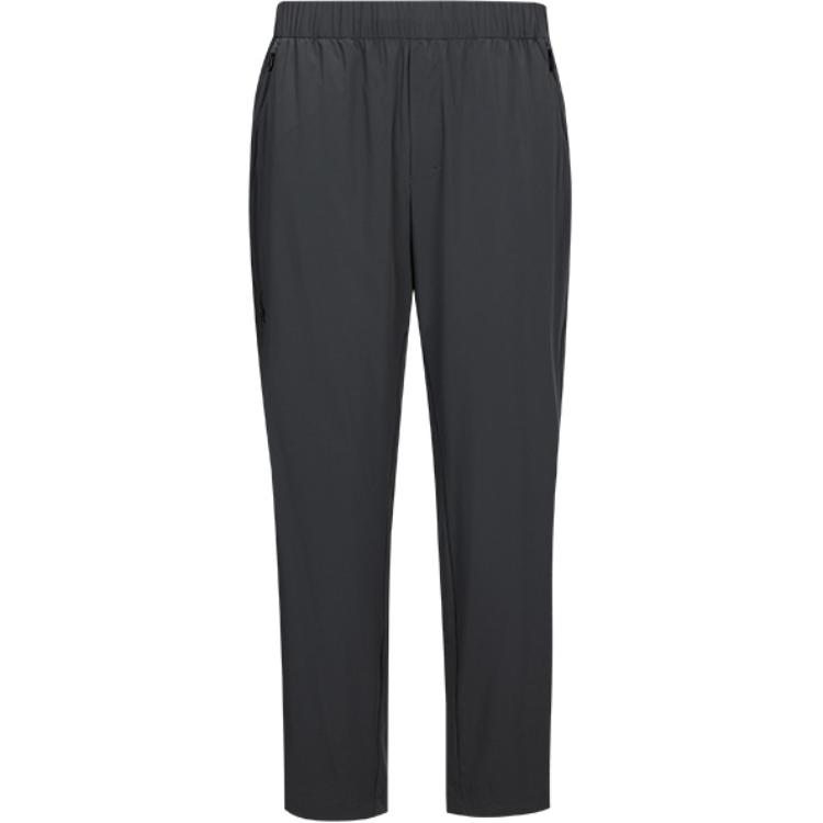 

Повседневные брюки мужские SPYDER, серый