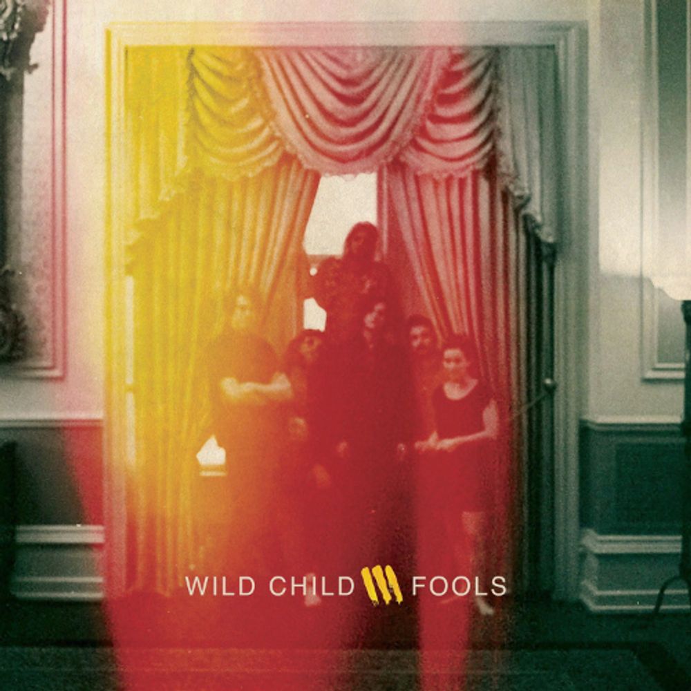 

Диск CD Fools - Wild Child