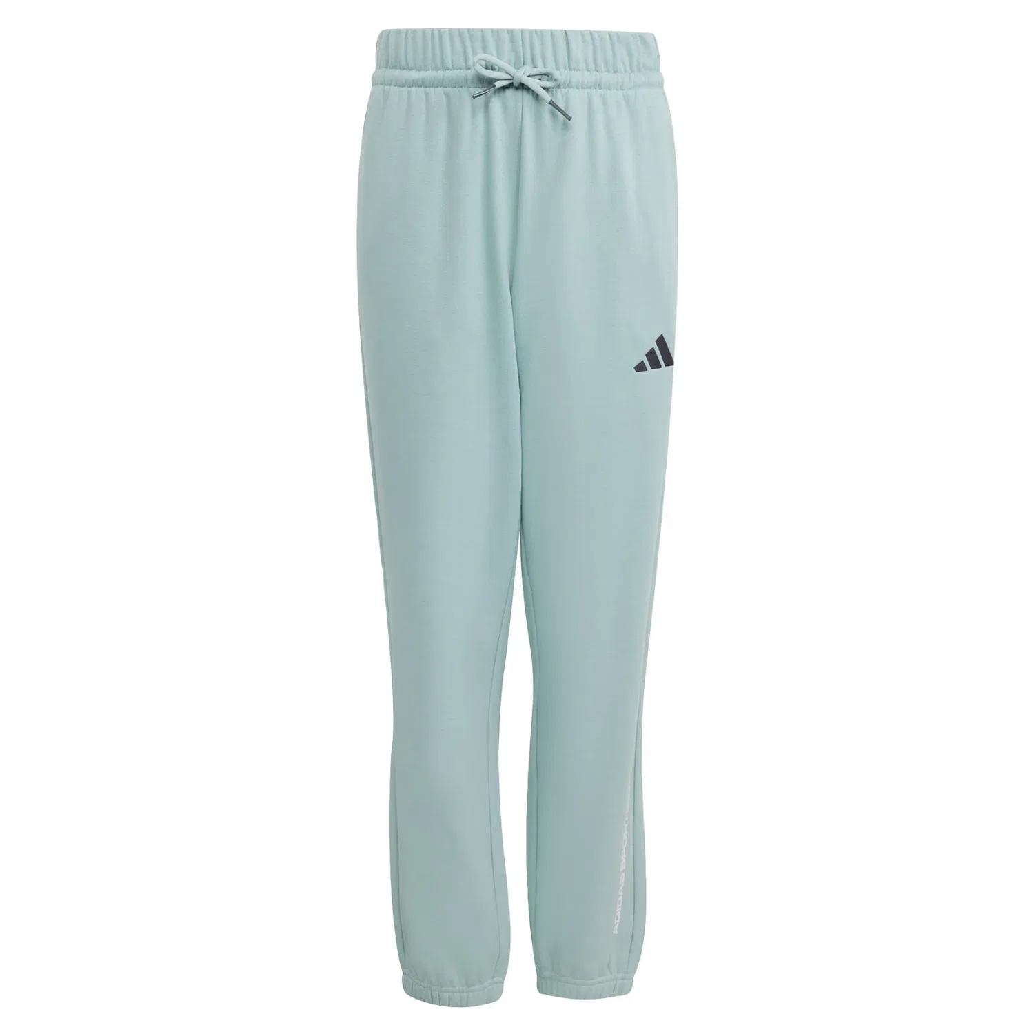 Спортивные брюки Adidas Sportswear Tapered Workout Pants Slogan мятного цвета