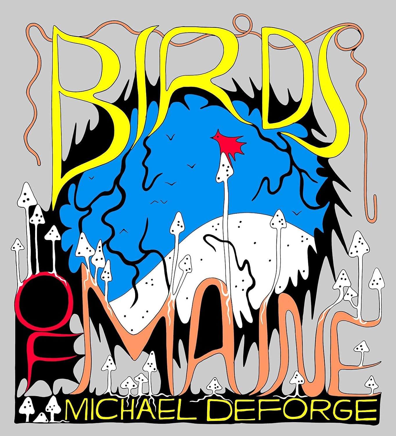 

Birds of Maine (Drawn and Quarterly)