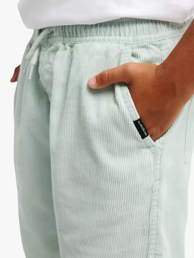 Детские вельветовые шорты Taxer из хлопка, цвет Blue Haze Quiksilver — фото 3