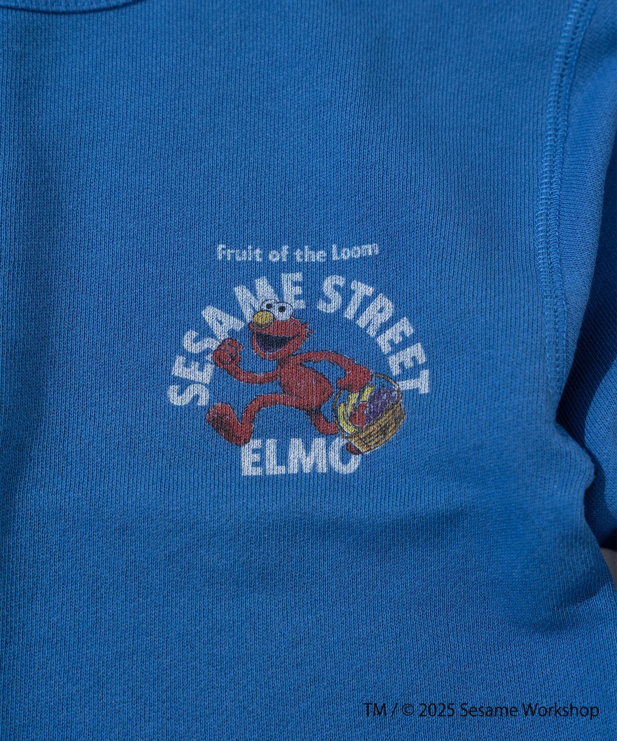 Свитшот детский Fruit of the Loom с принтом Elmo, синий — фото 4