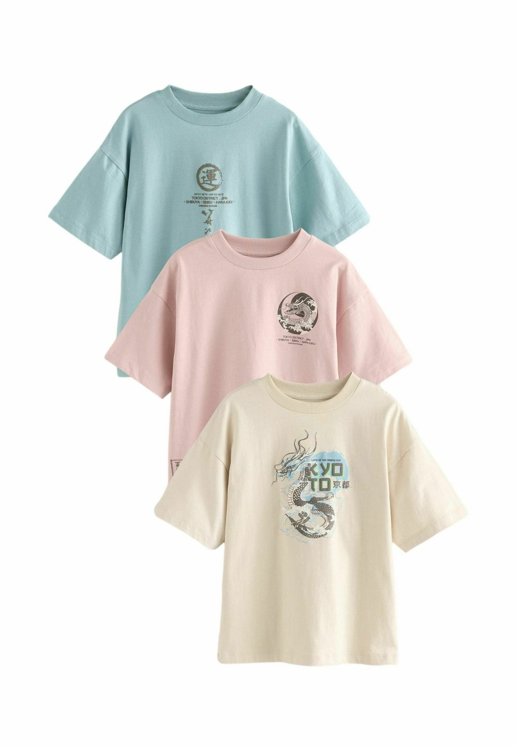 

Футболка с принтом SHORT SLEEVE GRAPHIC 3 PACK STANDARD Next, серый