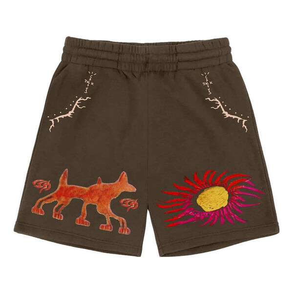 

Шорты cactus jack fw22 sun shorts 'brown' Travis Scott, коричневый