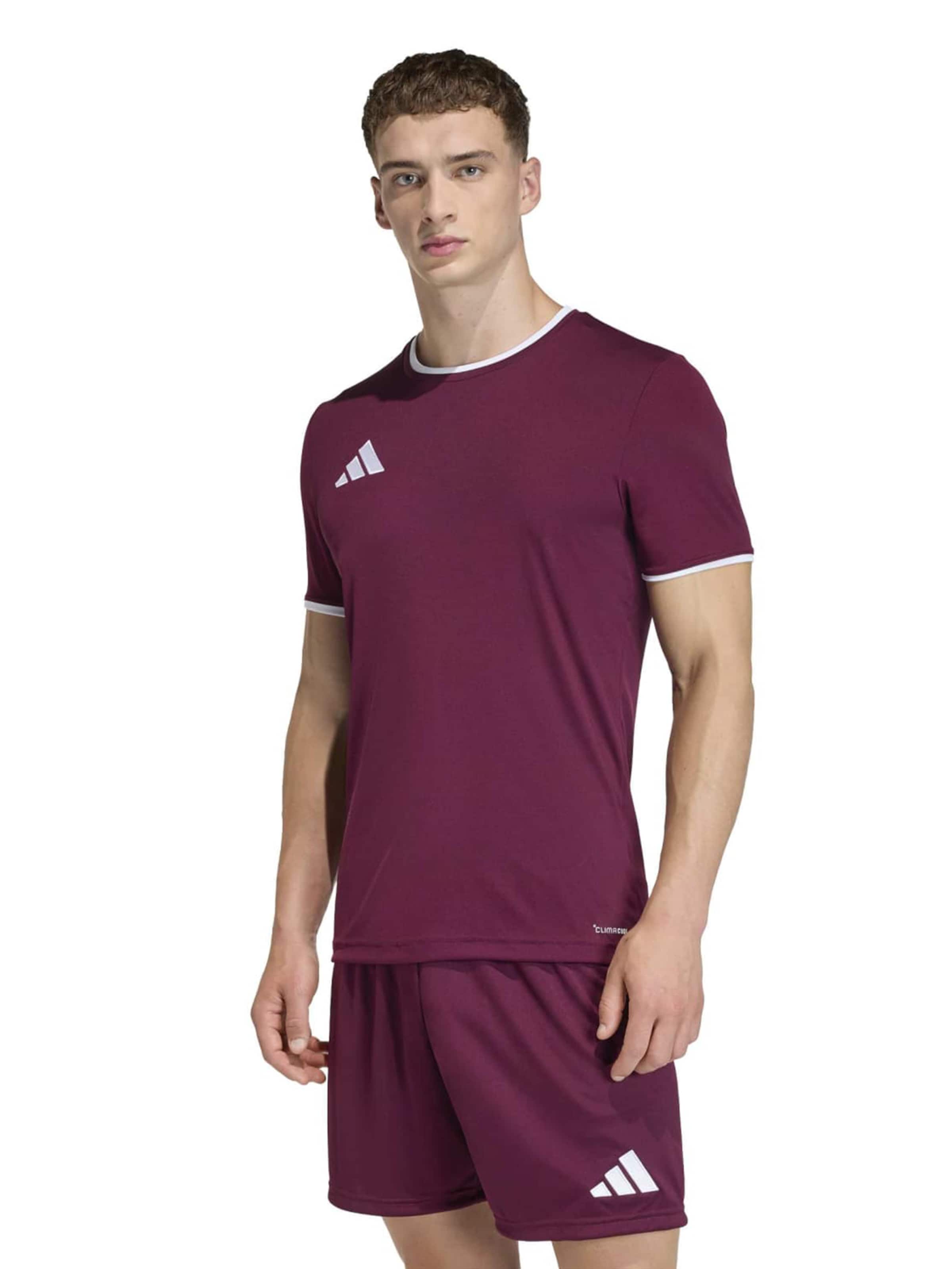 Adidas Performance Футболка Performance 'ENT26' в цвете бургунди — фото 3