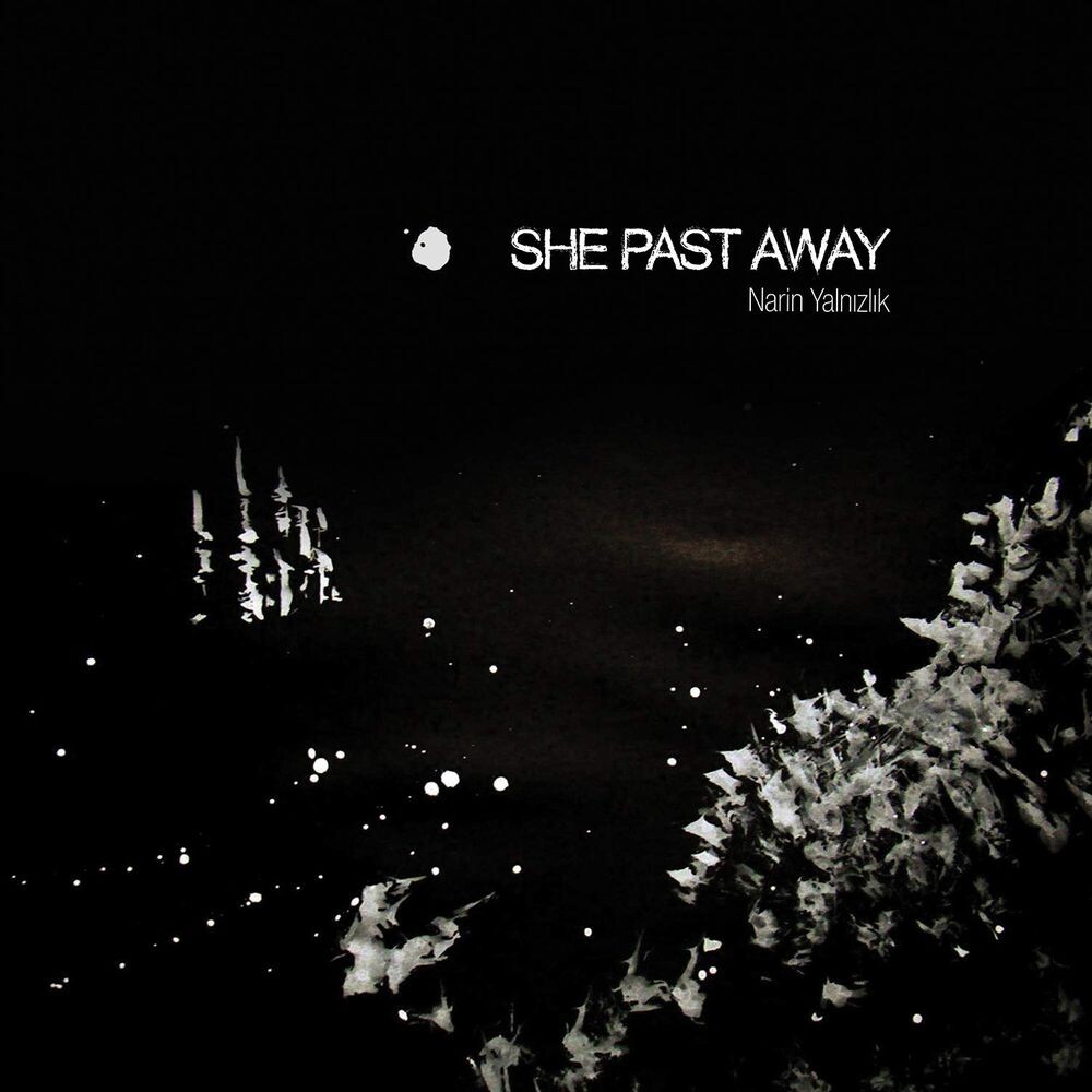 

Диск CD Narin Yalnizlik - She Past Away