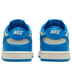 (TD) Nike Dunk Low 'Light Silver Sail Light Photo Blue' — фото 4