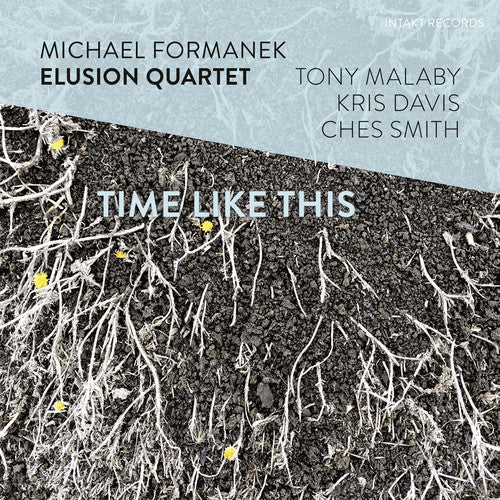 

CD диск Formanek, Michael: Time Like This