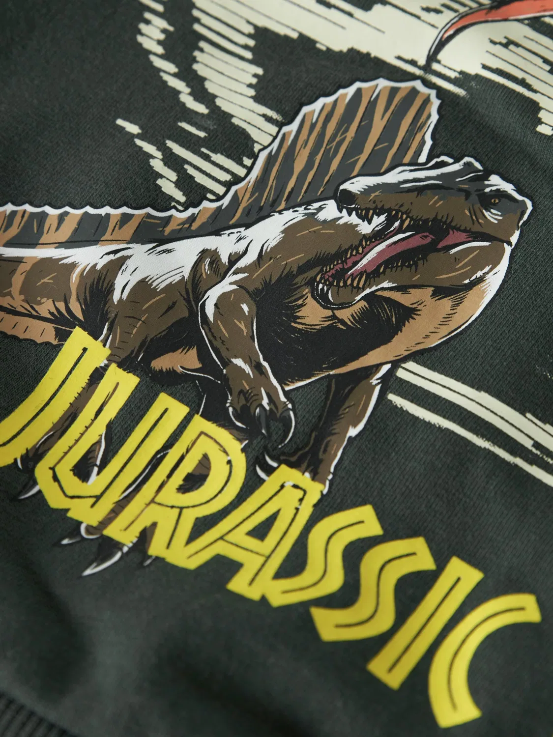 Толстовка Name It NMMJal Jurassic World темно-зеленого цвета — фото 3