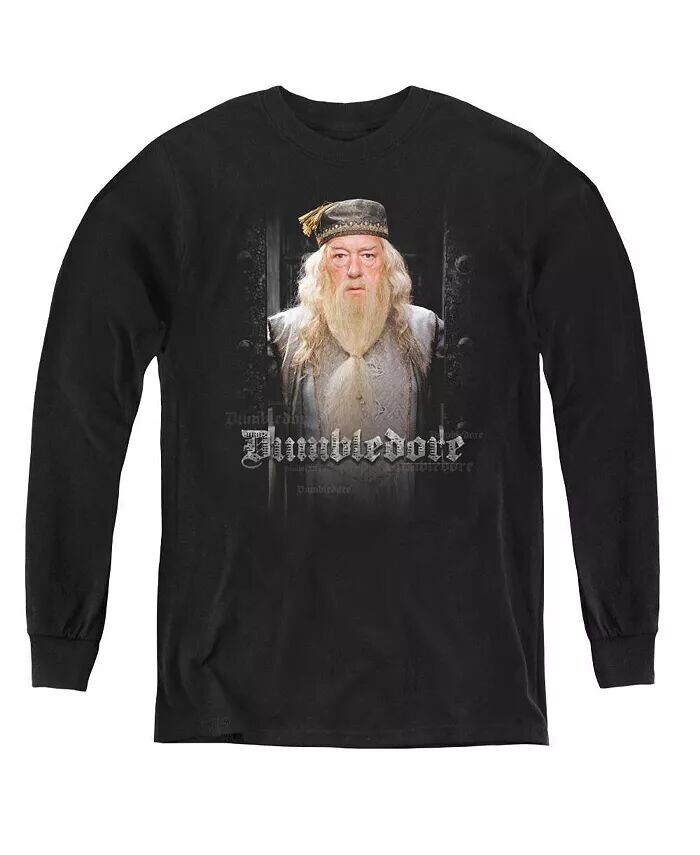 

Молодежные толстовки с длинным рукавом Dumble Doors Harry Potter, черный