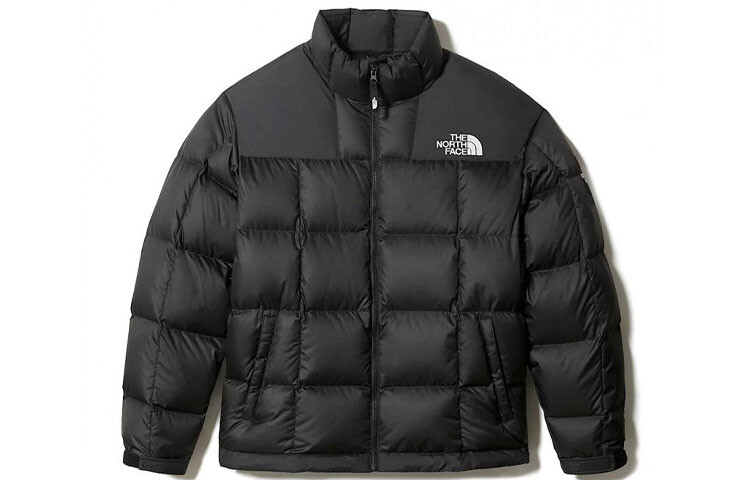 

Коллекция 1990 года, пуховик мужской, черный The North Face, черный