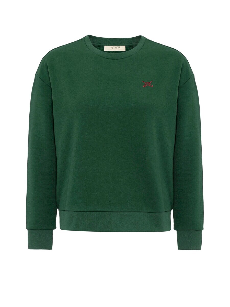 

Свитер Antioch Sweatshirt, зеленый