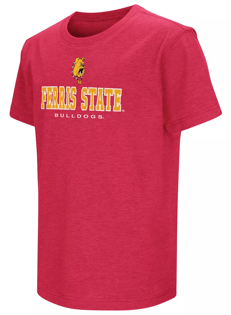 

Колизей Молодёжная красная футболка Ferris State Bulldogs Colosseum