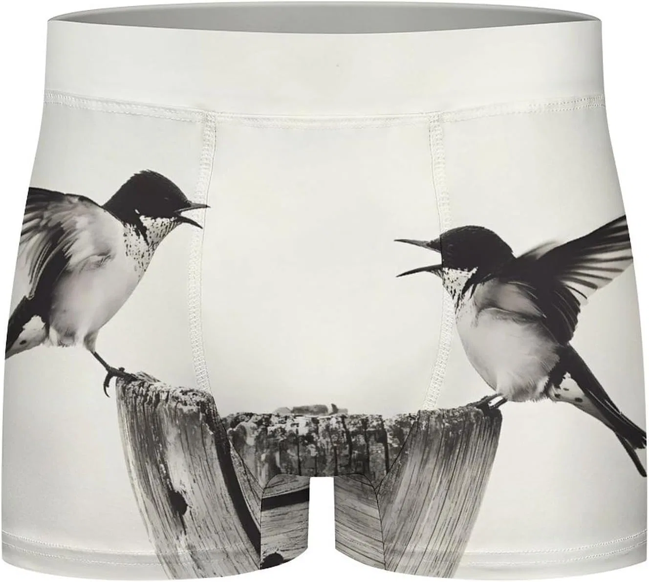 Боксеры классические Angry Swallows, Style — фото 4