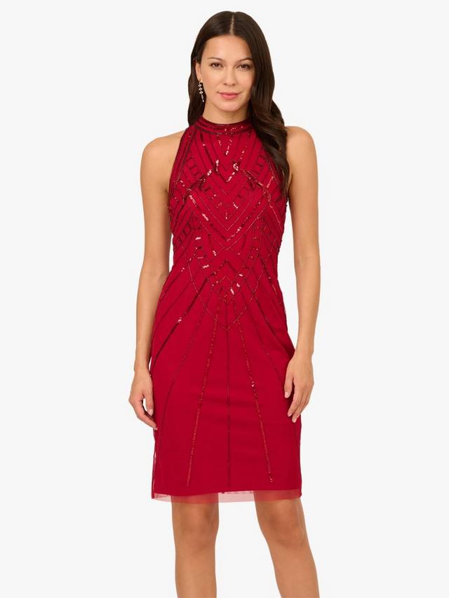 

Студийное бисерное платье-фальтер для коктейля Adrianna Papell, Cranberry