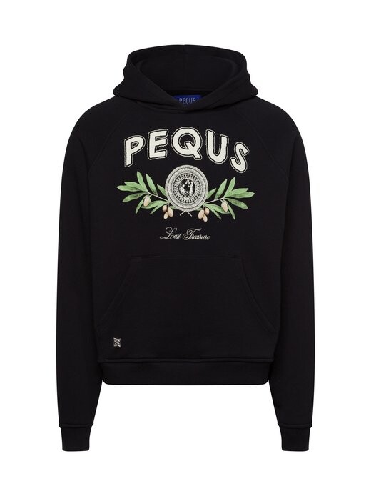

Толстовка с капюшоном Pequs, черный