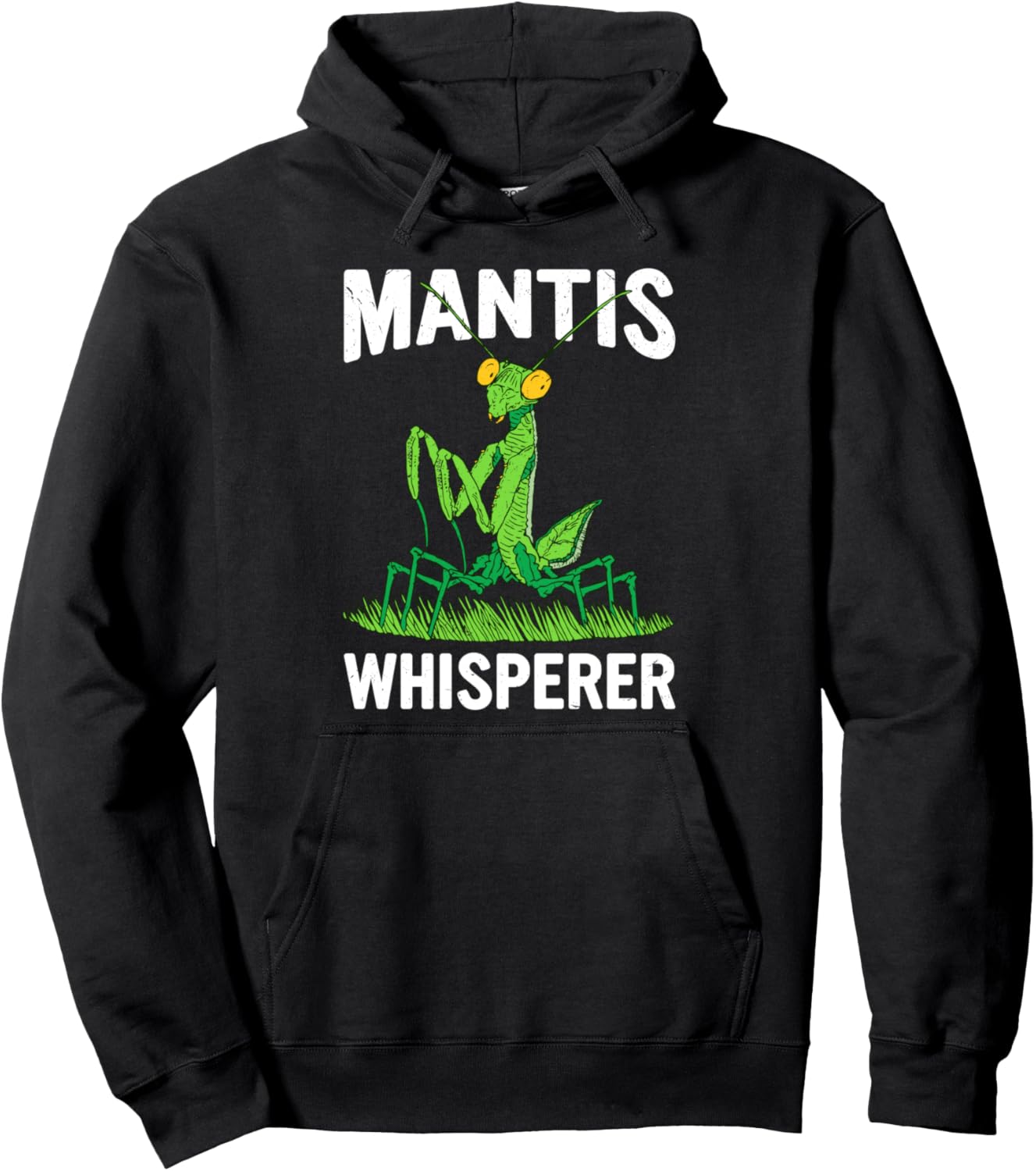 

Энтомолог, любитель насекомых, толстовка с капюшоном Praying Mantis Shirt, черный