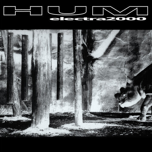 

Виниловая пластинка Hum - Electra 2000