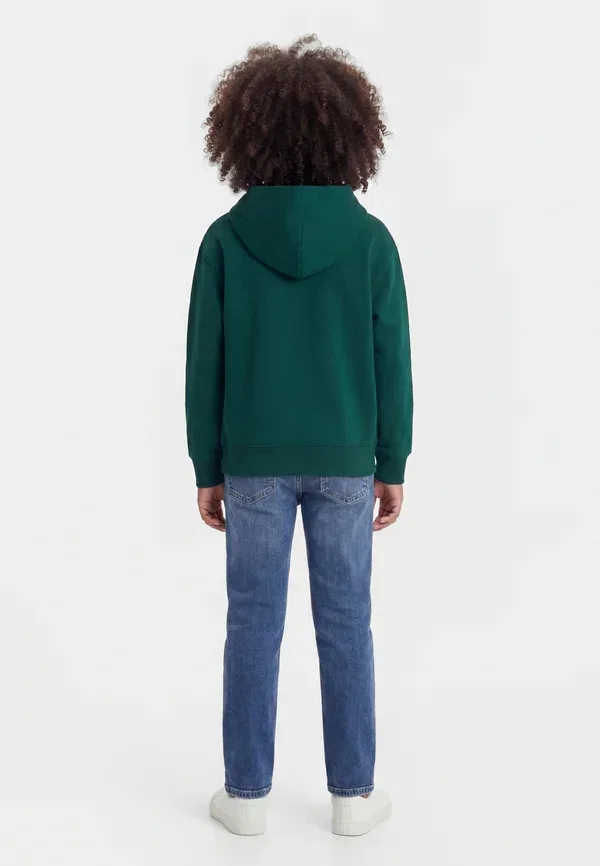 Толстовка с капюшоном Brannan logo hoodie Gap, темно-зеленый — фото 2