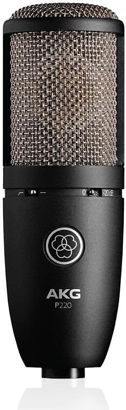 

Конденсаторный микрофон AKG P220 Large Diaphragm Cardioid Condenser Microphone