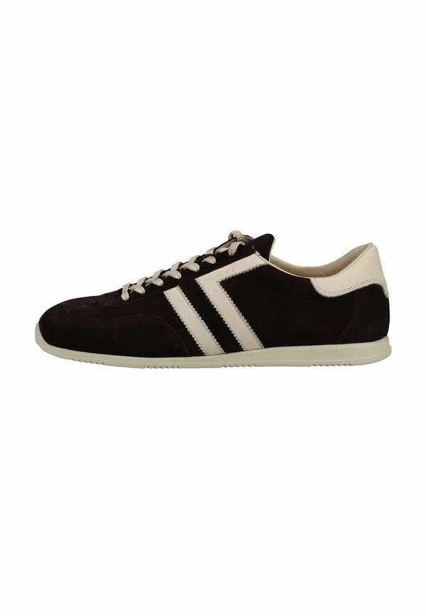 Тренеры spearclub Gant, Dark Brown G