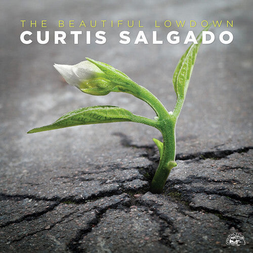 

CD диск Salgado, Curtis: The Beautiful Lowdown