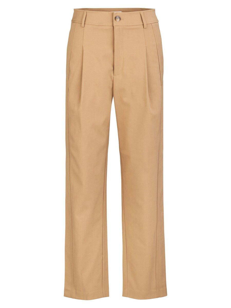 

Обычные плиссированные брюки REPLAY Twill Pant, Beige