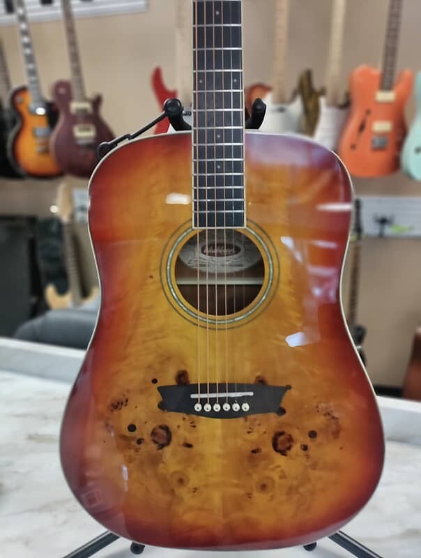 

Акустическая гитара Washburn Deep Forest Burl D Amber Fade