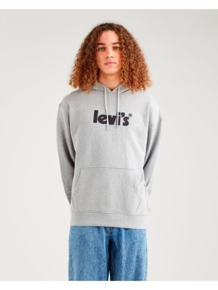 

Толстовка Levi´s, серый