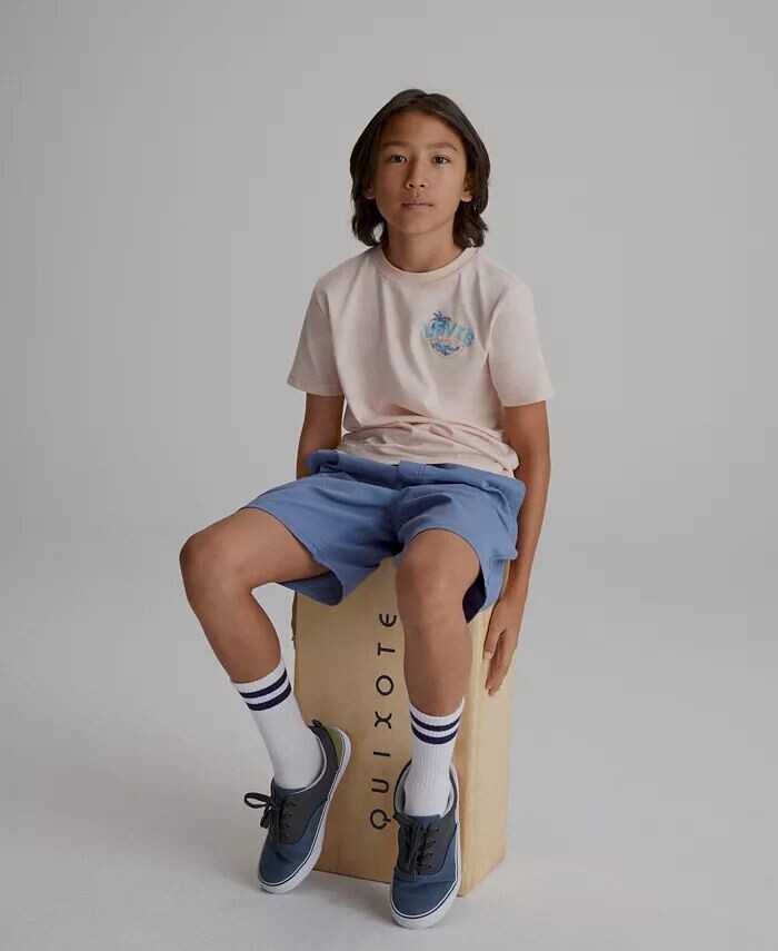 

Летняя футболка Levis Big Boys Scenic и шорты добби скинни Levi'S, розовый
