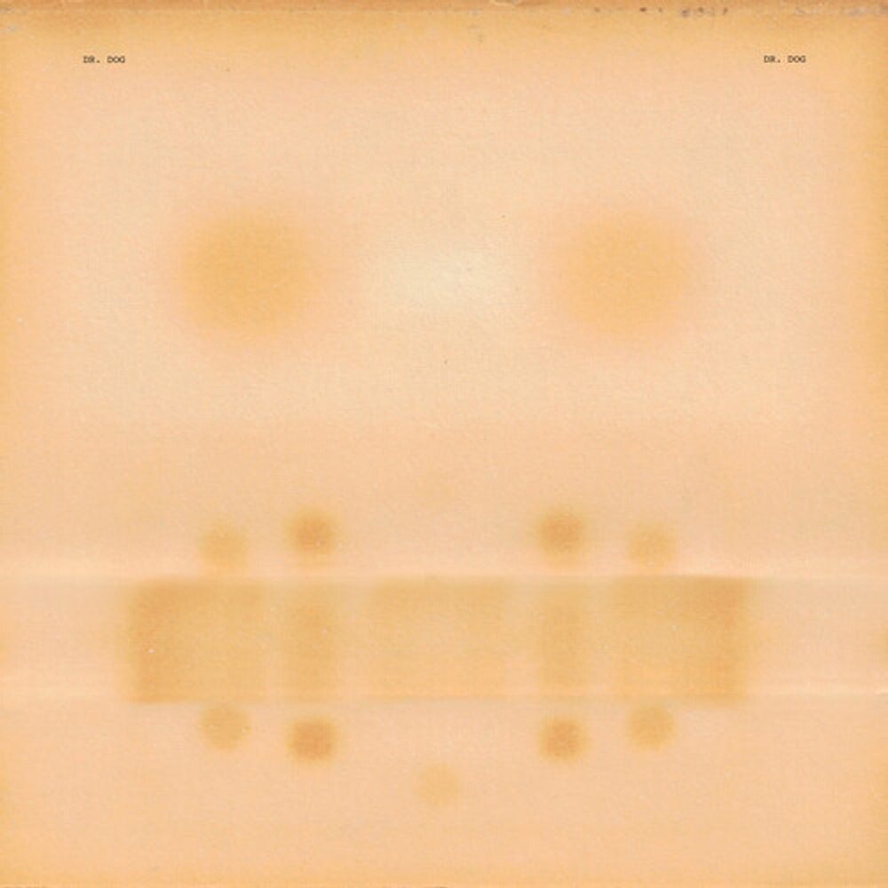 

Виниловая пластинка LP Dr. Dog (Upcoming Release) - Dr. Dog