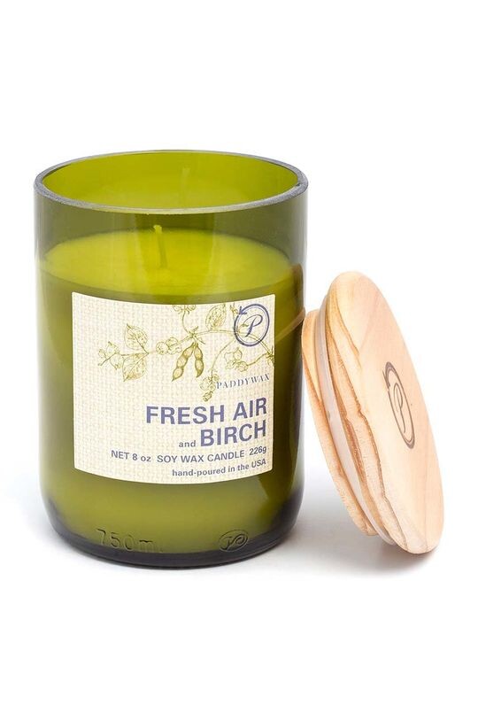 

Свечи ароматические соевые Fresh Air & Birch 226 г Paddywax, зеленый