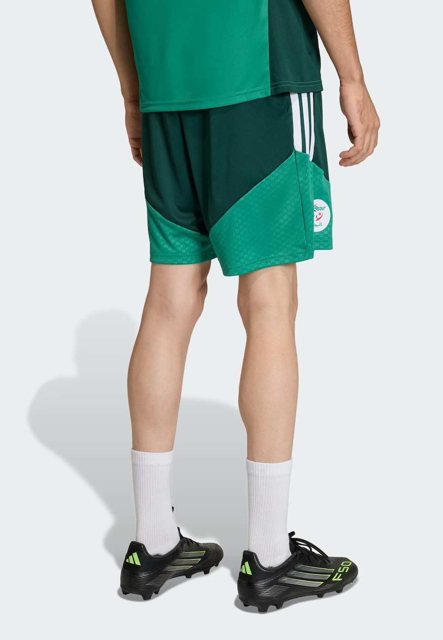 Обычные спортивные штаны ADIDAS PERFORMANCE Algerien 26, зеленый/темно-зеленый — фото 3