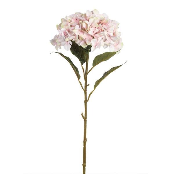 

Декоративное растение PTMD Collection Hydrangea, розовый
