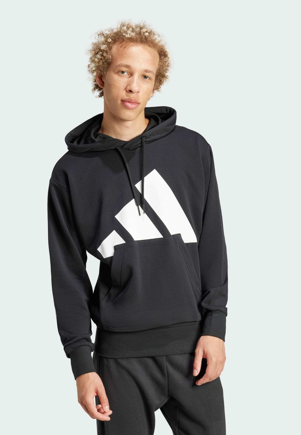 

Толстовка с капюшоном ESSENTIALS BIG LOGO adidas Sportswear, черный
