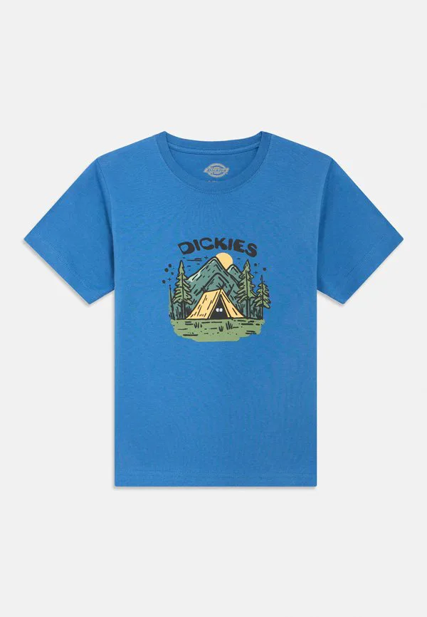 Футболка с графическим принтом на тему лагеря Dickies, Delft