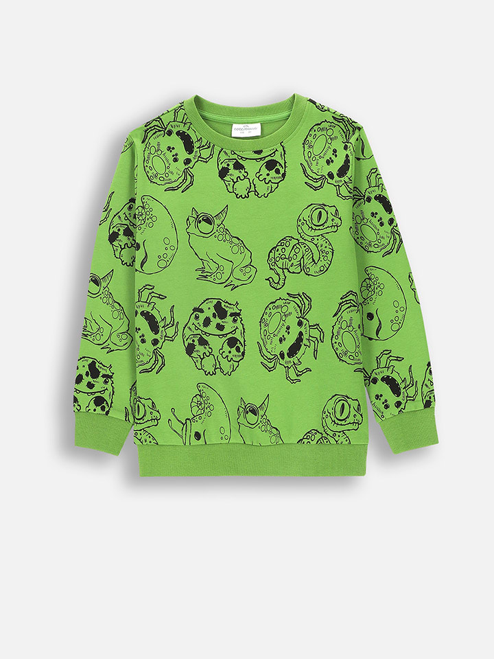 

Coccodrillo Зеленая толстовка