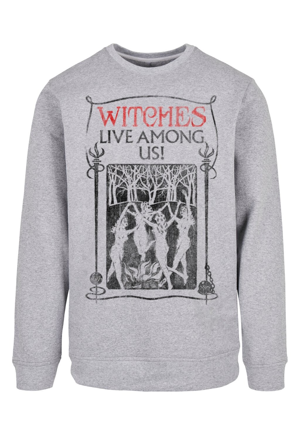 

Толстовка PHANTASTISCHE TIERWESEN WITCHES LIVE AMONG US F4NT4STIC, серый