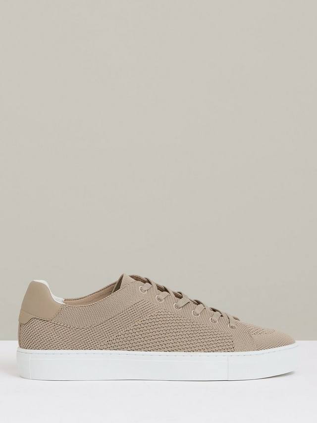 

Трикотажные кроссовки finley с низким верхом Reiss, цвет Light Khaki