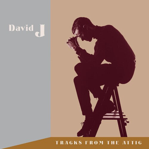

Виниловая пластинка David J: Tracks From The Attic