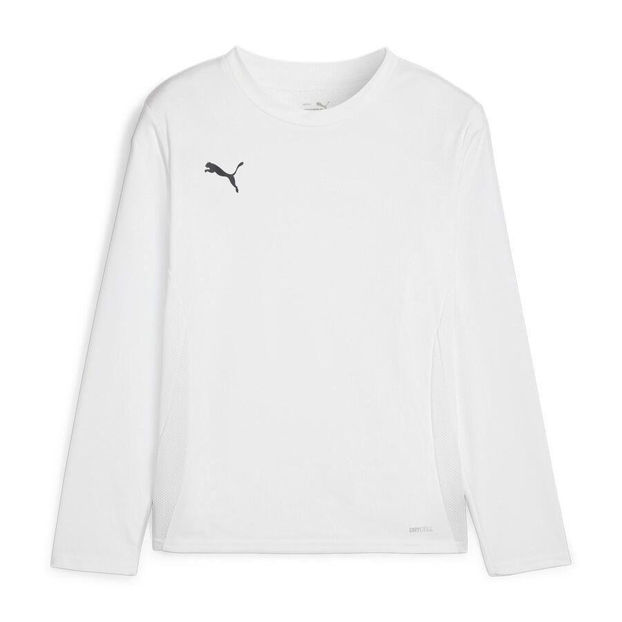 

Детская футболка с длинными рукавами Puma teamGOAL LS Jersey Jr 705751