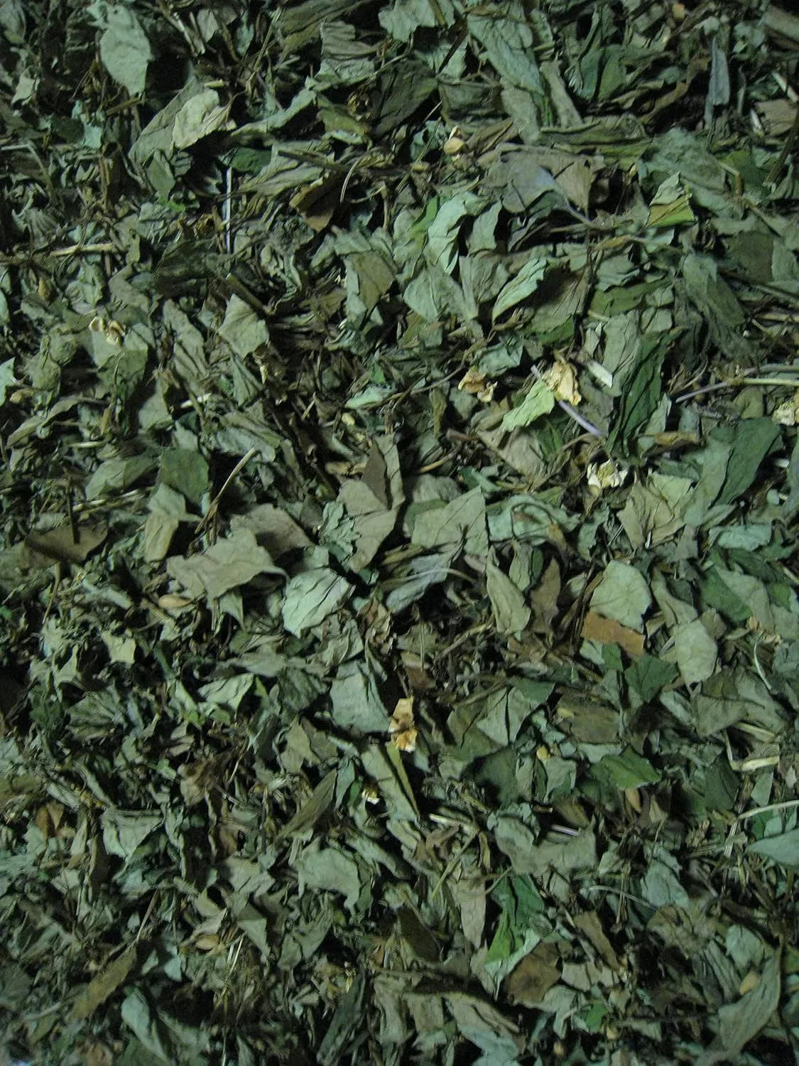 Лосьон Azumino Eco — Для лица Houttuynia Cordata, 100 мл