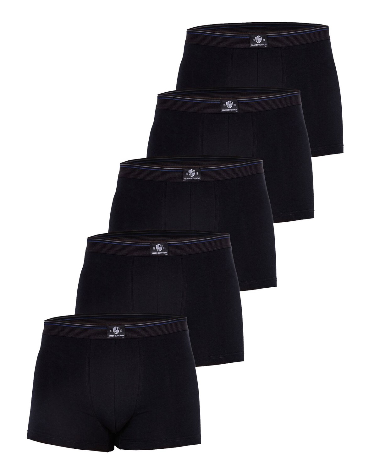 

Боксеры Haasis Bodywear 5er-Set: Pants, черный
