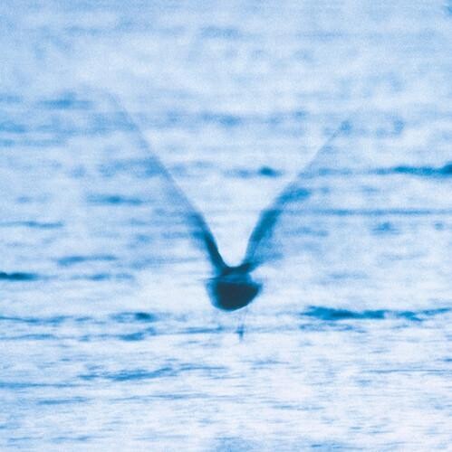 

Виниловая пластинка Fukui, Ryo - Mellow Dream